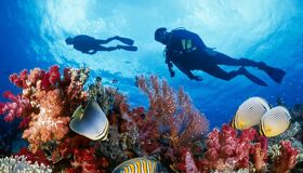 Begin your visa-prepared day with Vietnam’s tranquil ambiance